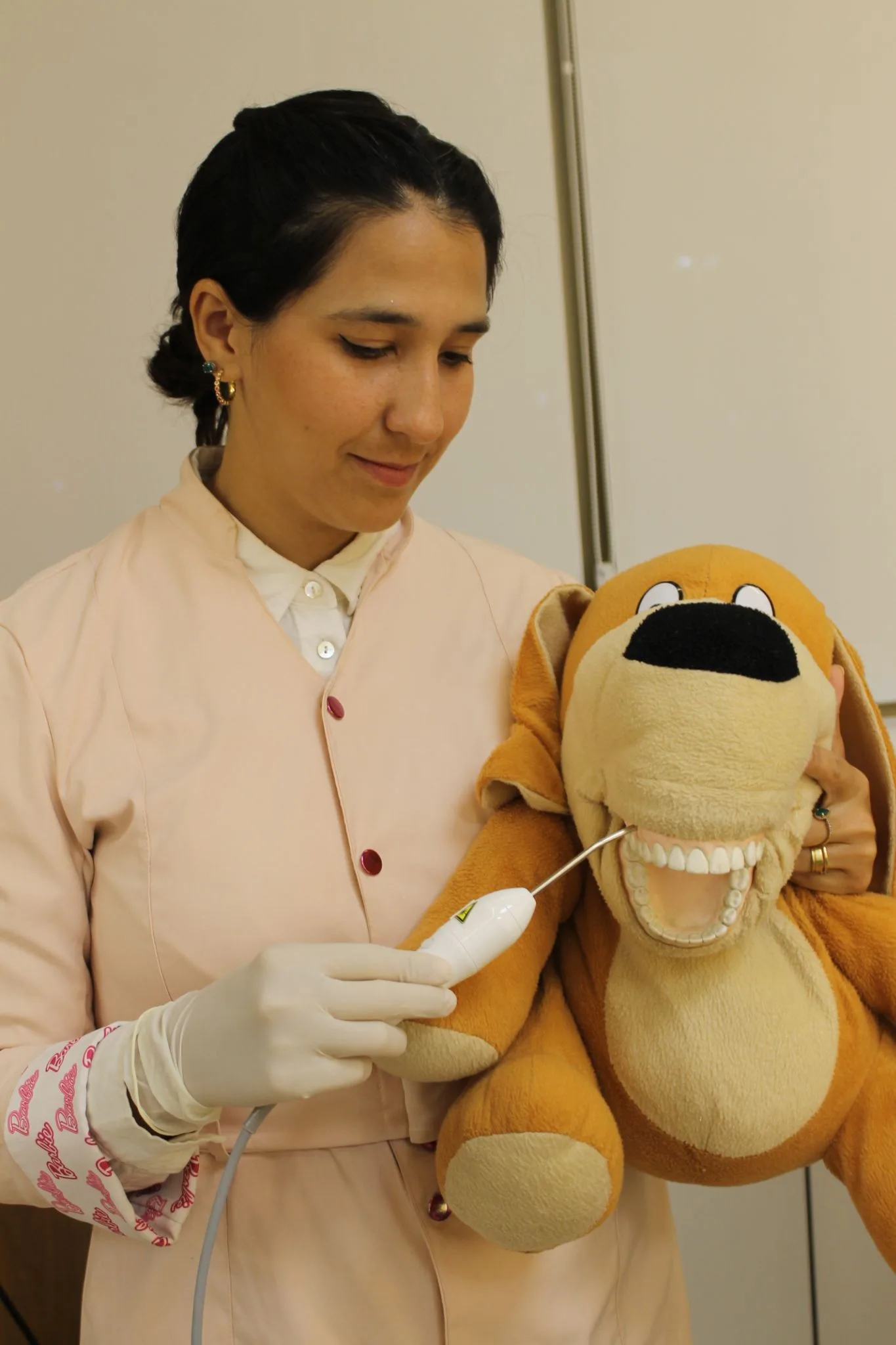 Dra. Luisa mostrando a escovação em um leão de pelúcia